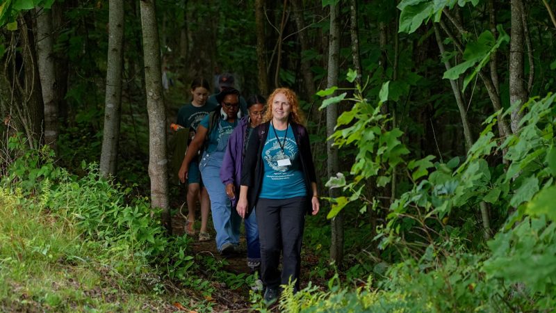 Living monument reveals the treasures of Appalachian forests