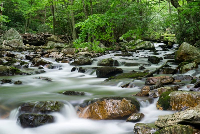 What Can Stream Quality Tell Us About Quality of Life? Researchers Find Relationship Between Ecosystem Health and Human Well-being
