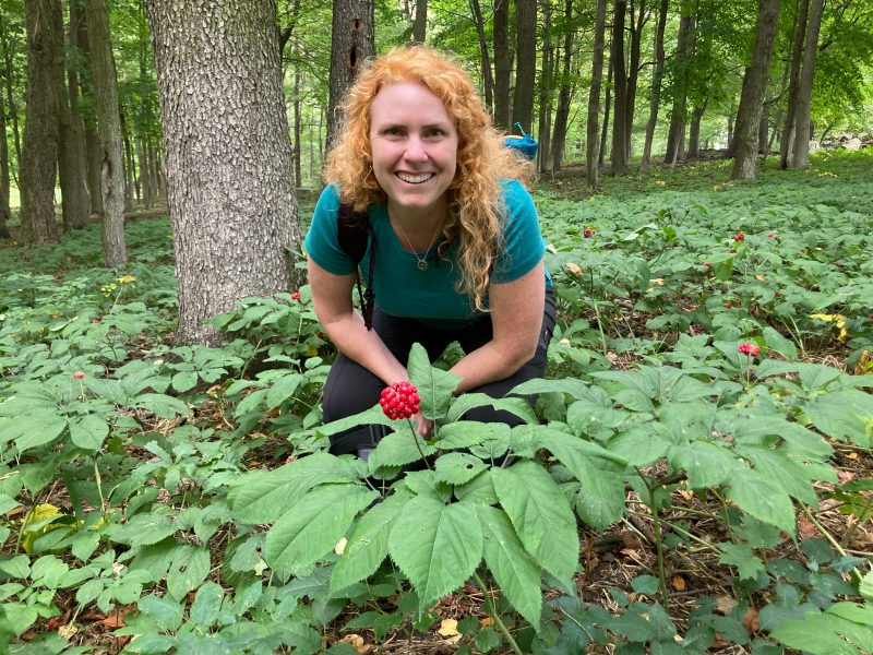 Virginia Tech researcher Shannon Bell at Hardings Ginseng Farm, located in the heart of the Appalachian Mountains, where ginseng is cultivated and grown. Photo courtesy of Shannon Bell.